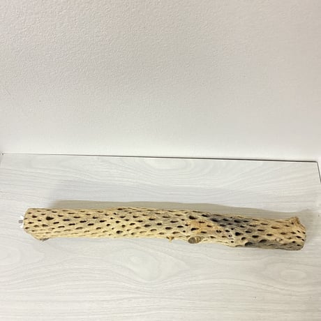 ケージサイズカクタスパーチ① 中サイズ直径約5.5cm HOEI465サイズ