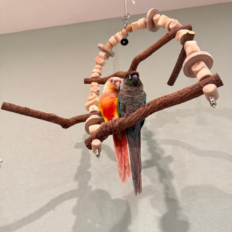 ポテトヘッドくん　ツタステンレスベルのカスタムブランコ【自然木 天然木 止まり木インコ・小鳥のおもちゃ】