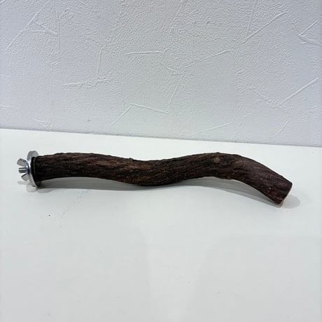 自然木（ツタ）パーチ③  直径約2cm/長さ21cm