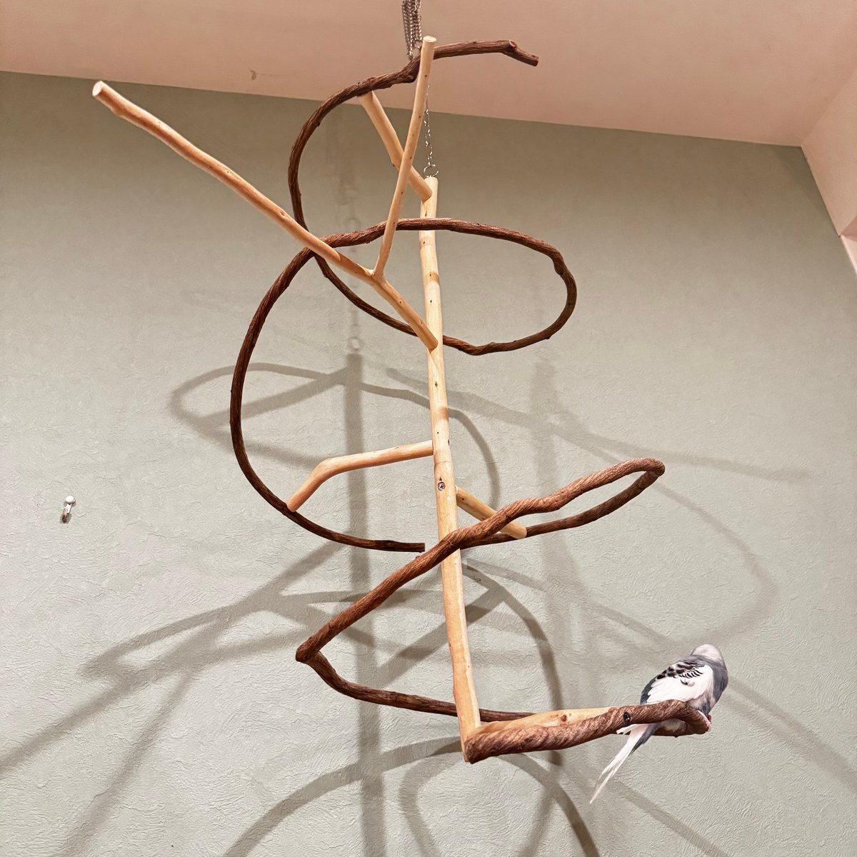 A様専用】コトリのなる木【バードアスレチック インコ天然木 自然木