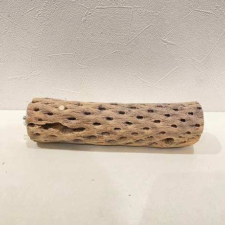 カクタスパーチ | STORES