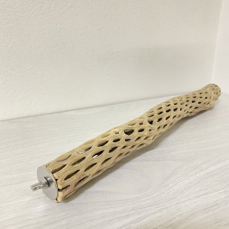 ケージサイズカクタスパーチ⑨ 極小サイズ直径2-3cm HOEI35サイズ