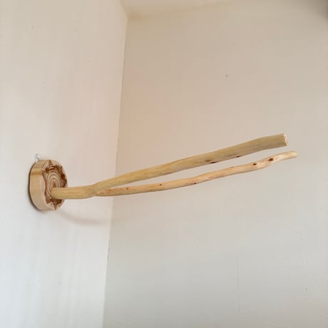 桧のピノキオの鼻③