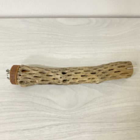 カクタスパーチ④ 極小サイズ 直径（約2-3cm）長さ/20.5cm