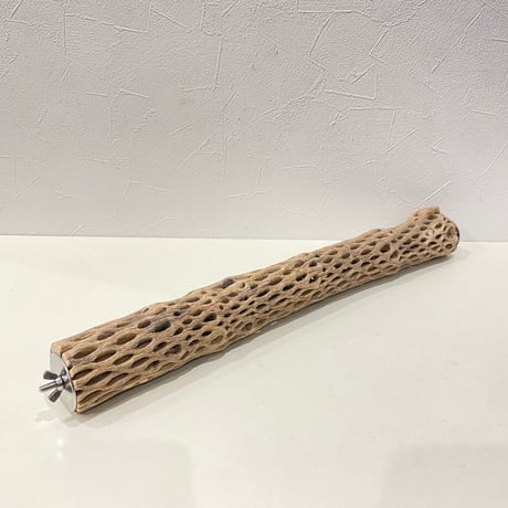 ケージサイズカクタスパーチ① 直径約4.5cm HOEI465サイズ