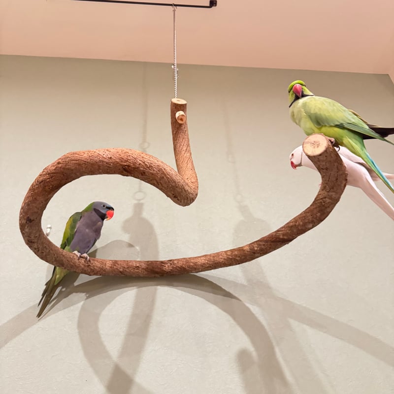 超でかいとぐろちゃんブランコ 【インコのおもちゃ 自然木】 | 自然木