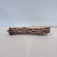 カクタスパーチ極小サイズ⑥ 直径2.5~3cm/長さ15cm【自然木 止まり木 バンブルフット 趾瘤症 】