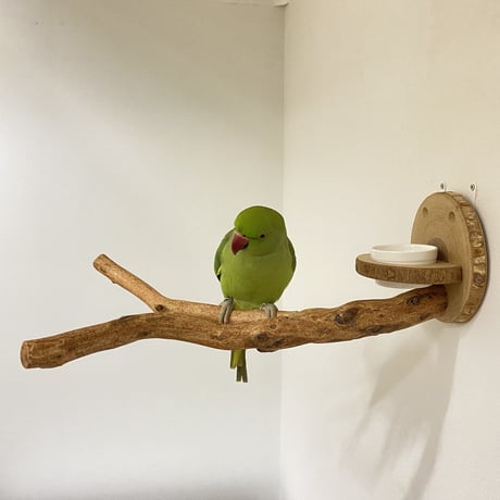 ピノキオの鼻④ 中型さん用