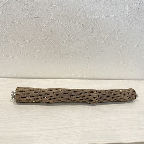 ケージサイズカクタスパーチ③  HOEI35 小（直径3-4cm）