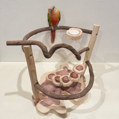 ツタと貝塚伊吹の螺旋階段アスレチック【インコのおもちゃ・自然木のとまり木】
