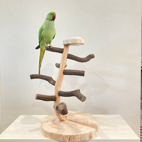 ツタのツリーバードアスレチック【インコのおもちゃ・自然木のとまり木】