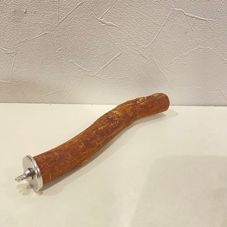 自然木（ツタ）パーチ 直径約2.5cm/長さ19cm