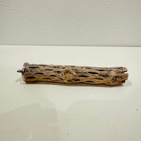 カクタスパーチ極小サイズ 直径2.7-3cm/長さ15cm⑩【自然木 止まり木 バンブルフット 趾瘤症 】