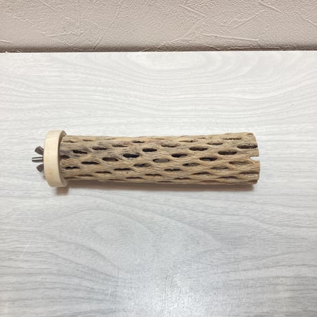 カクタスパーチ②小3-4㎝長さ15㎝