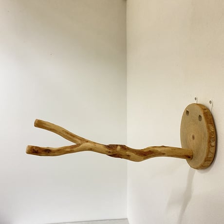 ピノキオの鼻 ②