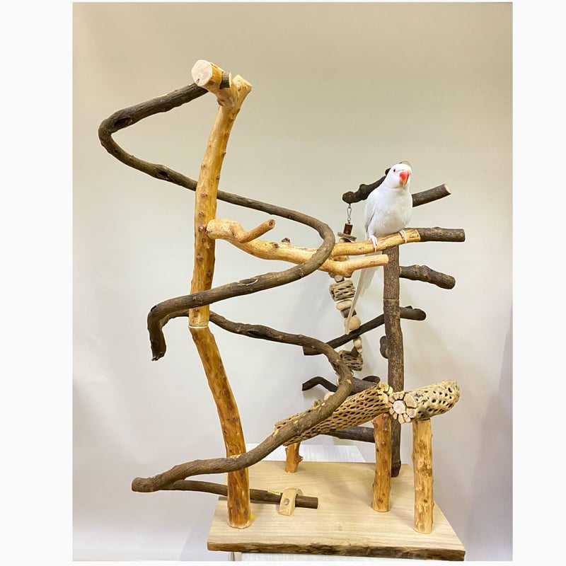 全国 【No40】ペット 小鳥用 バードアスレチック 螺旋階段 とまり木