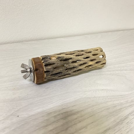 カクタスパーチ② 小サイズ 直径（約3-4cm）長さ/10cm