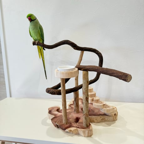 螺旋階段とツタパーチのバードアスレチック【インコのおもちゃ・自然木のとまり木】