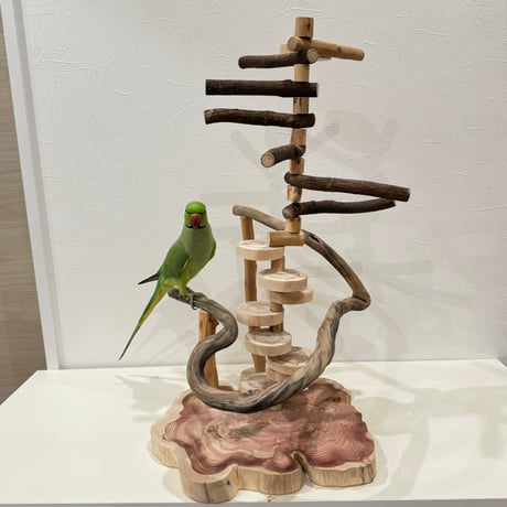 螺旋ツタパーチと螺旋階段のバードアスレチック【インコのおもちゃ・自然木のとまり木】