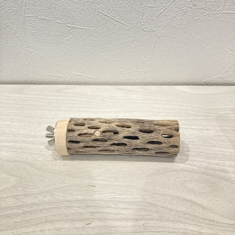 カクタスパーチ小⑧ 直径約3~4cm 長さ10cm