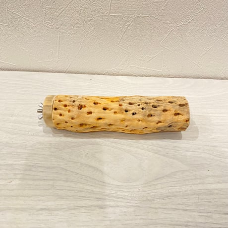 カクタスパーチ小⑪ 直径3~4cm／長さ15㎝