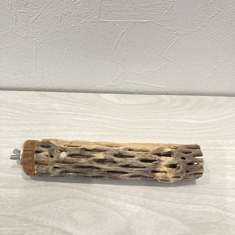 カクタスパーチ⑧  極小 直径3cm前後 長さ15cm