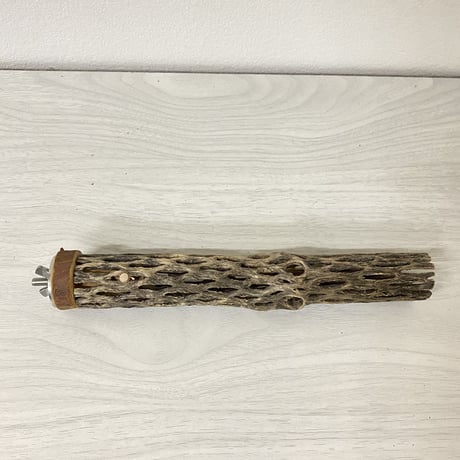 カクタスパーチ① 極小サイズ 直径（約2-3cm）長さ/20cm