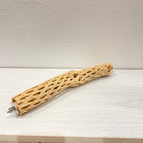 カクタスパーチ⑱ 小サイズ長さ30cm