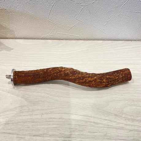 自然木（ツタ）パーチ 直径約2.3cm/長さ20cm