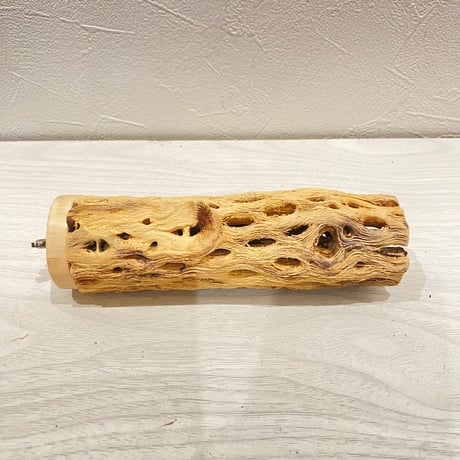 カクタスパーチ【22】直径4~5cm/長さ15cm