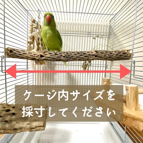 ただいま休止中です【オーダー方法】ケージサイズカクタスパーチ