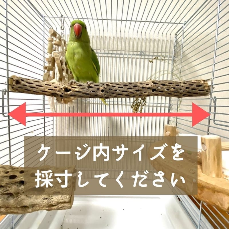 ただいま休止中です【オーダー方法】ケージサイズカクタスパーチ ただいま休止中です【オーダー方法】ケージサイズカクタスパーチ