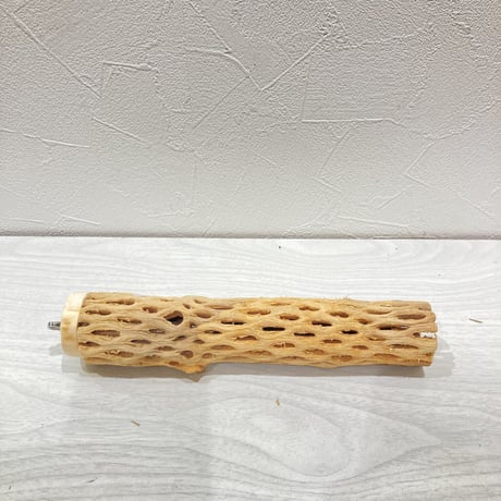 カクタスパーチ小② 直径約3~4cm 長さ20cm