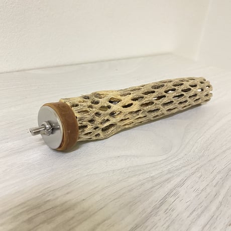 【小型用】カクタスパーチ極小①　直径3cm／長さ17.5cm