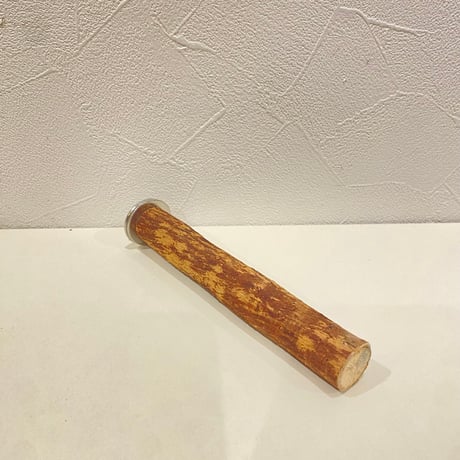 自然木（ツタ）パーチ 直径約2cm/長さ15cm