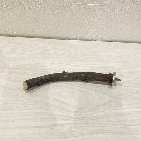 自然木（ツタ）パーチ②  16.5㎝　直径1.8㎝