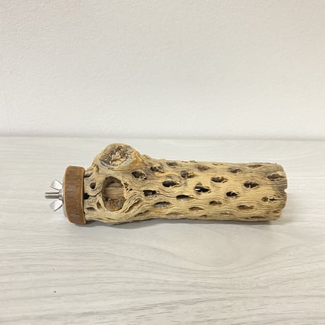 カクタスパーチ⑦ 小サイズ 直径（約4cm）長さ/13.5cm