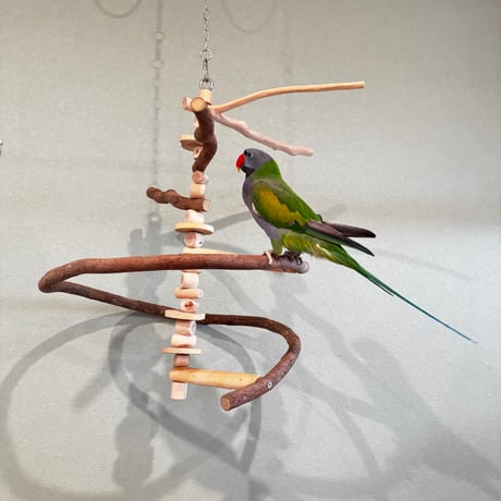 アイテム | 自然木の鳥用品 鳥豆堂【トリマメドウ】バードアスレチック