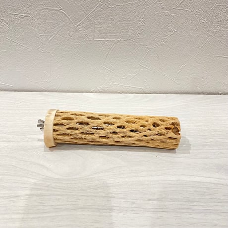 カクタスパーチ⑤ 小サイズ長さ15cm