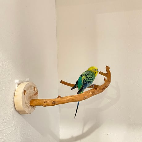 ピノキオの鼻 ②