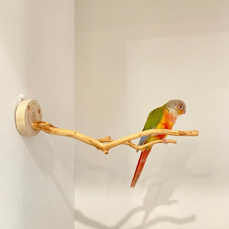 ピノキオの鼻 ⑤