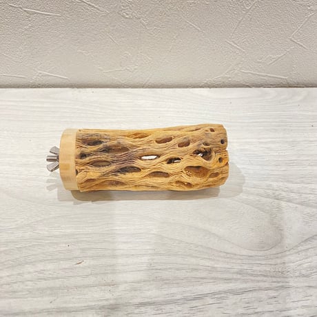 カクタスパーチ【3】直径4~5cm/長さ10cm
