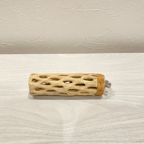カクタスパーチ⑮ 極小直径2-3cm/10cm