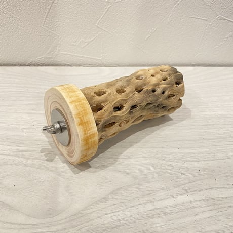 カクタスパーチ⑮ 中直径約5.5cm/11cm