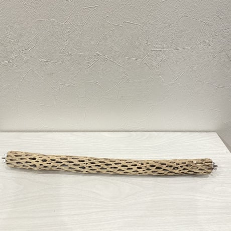 ケージサイズカクタスパーチ⑤  極小サイズ（直径2-3cm）HOEI465