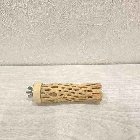 カクタスパーチ【12】 極小 直径3cm前後 長さ10cm