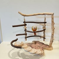 ♡nazu♡　バードアスレチック ♡nazu♡ バードアスレチック 自由にカスタム 壁掛けバード