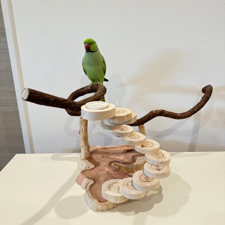 自然木（ツタ）と螺旋階段のバードアスレチック【インコのおもちゃ・自然木のとまり木】