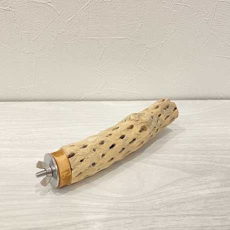 カクタスパーチ⑤ 小サイズ 直径（約3.5cm）長さ/15.5cm