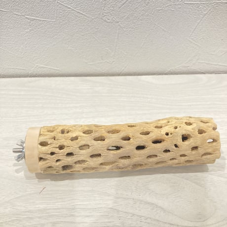 カクタスパーチ小⑫ 直径約3~4cm 長さ15cm